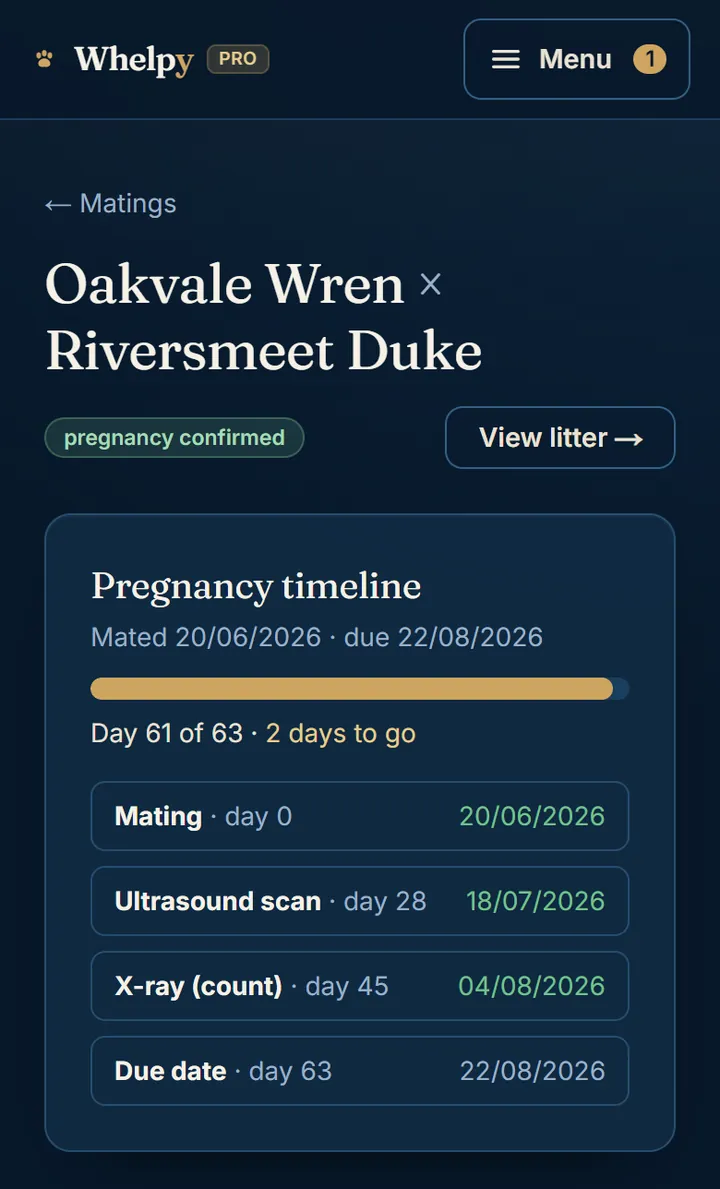 A pregnancy timeline for Oakvale Wren x Riversmeet Duke: mated 20/06/2026, due 22/08/2026, a progress bar reading day 61 of 63, and milestones for the mating, the ultrasound scan at day 28, the x-ray at day 45 and the due date at day 63.